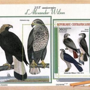 A7548 - CENTRAFRICAINE- ERROR MISPERF Stamp Sheet - 2021 - Birds: Eagles