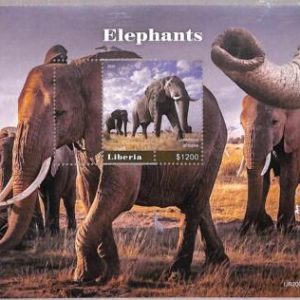 A1999- LIBERIA, ERROR: Misperf SOUVENIR SHEET - 2020, Elephants