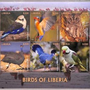 A1995- LIBERIA, ERROR: Misperf MINIATURE SHEET - 2020, Passerine Birds