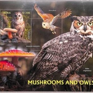 A2007 - LIBERIA, ERROR: Misperf SOUVENIR SHEET - 2020, Owls, Birds, Mushrooms