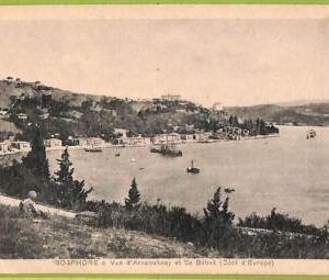 ad1645 - TURKEY - VINTAGE POSTCARD - Bosphore