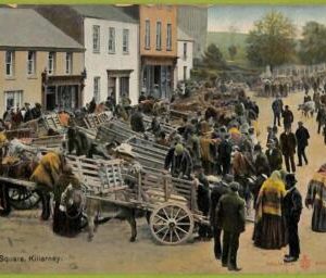 ac9231 - IRELAND - VINTAGE POSTCARD -  Killarney  - 1907