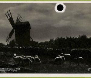 ad2465 - SWEDEN - VINTAGE POSTCARD - Oland