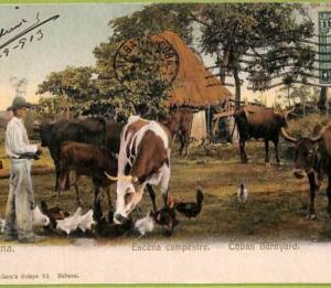 aa5976 - HABANA - Vintage Postcard -  Ethnic - 1913