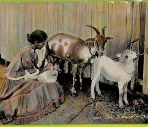 aa6050 - HABANA - Vintage Postcard - Ethnic