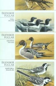 87571  - ICELAND - POSTAL HISTORY -  SET of 4 OFFICIAL POSTCARDS : Birds