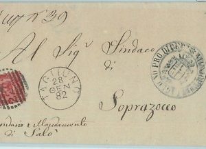 68548 - ITALIA REGNO: storia postale BUSTA da TAGLIUNO 1882 - Annullo NUMERALE