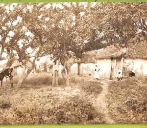 af2352 - DOMINICANA - Vintage Postcard - ETHNIC - 1939