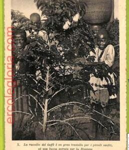 af4180 - VINTAGE POSTCARD Ansichtskarten - ETHNIC