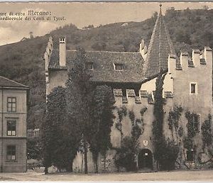 40729   CARTOLINA d'Epoca - BOLZANO - MERANO : Castello conte Tyrol