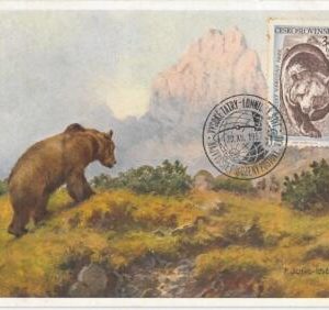 63509 - CZECHOSLOVAKIA - POSTAL HISTORY: MAXIMUM CARD 1957 -  ANIMALS: Bear