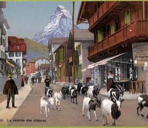 ad5357 - SWITZERLAND Schweitz - Ansichtskarten VINTAGE POSTCARD - Zermatt