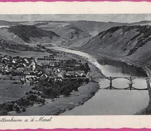 ah7135 - GERMANY - VINTAGE POSTCARD Ansichtskarten - Trittenheim