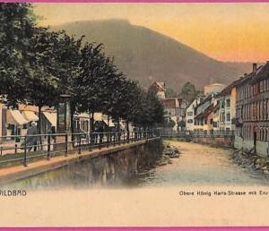 ah7157 - GERMANY - VINTAGE POSTCARD Ansichtskarten - Wildbad