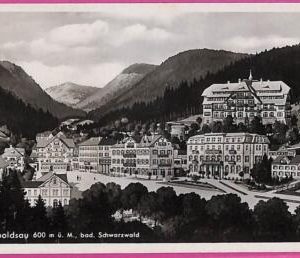 ah7164 - GERMANY - VINTAGE POSTCARD Ansichtskarten - Bad Rippoldsau