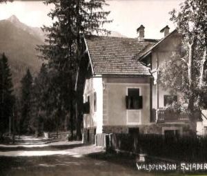 ac3531 - AUSTRIA - Ansichtskarten  VINTAGE  POSTCARD - Waldpension