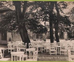 ad1825 - NORWAY - VINTAGE POSTCARD - Haga