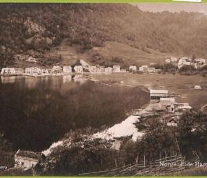 ad1826 - NORWAY - VINTAGE POSTCARD - Hardanger