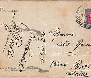 53386 - ERITREA  - Storia Postale: CARTOLINA con annullo POSTA MILITARE 128 1936