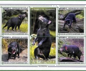 B1576 - GUINEE - ERROR MISPERF Stamp Sheet - 2023 - ANIMALS
