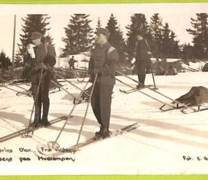 ad2029 - NORWAY - VINTAGE POSTCARD  - Hvalsmoen
