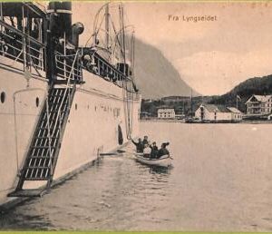 ad1873 - NORWAY - VINTAGE POSTCARD - Lyngseidet