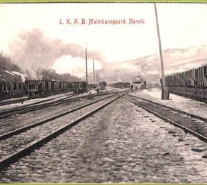 ad1884 - NORWAY - VINTAGE POSTCARD -  Narvik