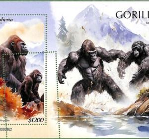 B1616 - LIBERIA - ERROR MISPERF Stamp Sheet - 2023 - Gorillas, Animals