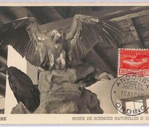 ad8719 - ANDORRA  - POSTAL HISTORY -  Maximum Card- 1946 Natural History Museum