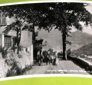 aa9166 - CARTOLINA D'EPOCA  GENOVA Città : Strada per Staglieno