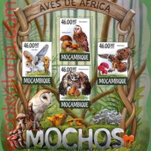 B1651 - MOCAMBIQUE - Stamp Sheet - 2015 - OWLS, Birds