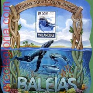 B1653 - MOCAMBIQUE - ERROR MISPERF Stamp Sheet - 2015 - Whales, Marine Life