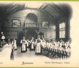 ad1925 - NORWAY - VINTAGE POSTCARD - Odda, Hotel Hardanger