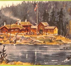 ad1900 - NORWAY - VINTAGE POSTCARD