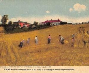 ac9764 - FINLAND  - VINTAGE POSTCARD - Ethnic