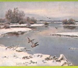 ae8711 - RUSSIA - Vintage Postcard - ILLUSTRATED