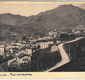 46055 - CARTOLINA d'Epoca - BERGAMO provincia - Serina 1933