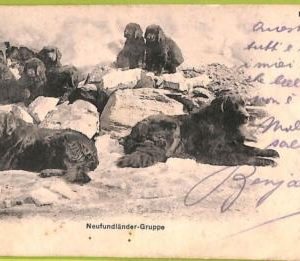 ad5702 - SWITZERLAND Schweitz - Ansichtskarten VINTAGE POSTCARD - Davos - 1907