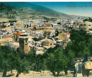 02337 JUDAICA vintage postcard: ISRAEL - SHECHEM
