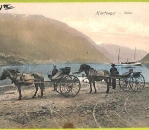 ad1822 - NORWAY - VINTAGE POSTCARD - Hardanger - Odde
