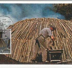 51626   - SAN MARINO -  POSTAL HISTORY - MAXIMUM CARD - 2002 ETHNIC