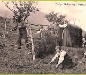 ad1820 - NORWAY - VINTAGE POSTCARD - Hardanger