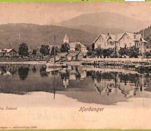 ad1815 - NORWAY - VINTAGE POSTCARD - Hardanger