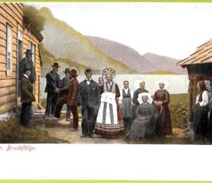 ad1812 - NORWAY - VINTAGE POSTCARD - Hardanger