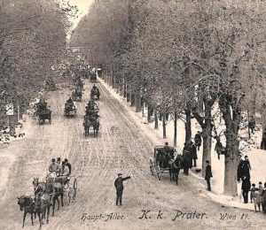 ac3598 - AUSTRIA - Ansichtskarten  VINTAGE  POSTCARD -  Wien