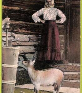 ad1810 - NORWAY - VINTAGE POSTCARD - ETHNIC