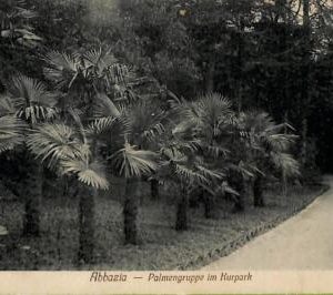 ac1912 - Ansichtskarten  VINTAGE POSTCARD - CROATIA  - Abbazia