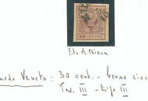 74320 - ANTICHI STATI:  Lombardo Veneto - Sassone 9b USATO  - DIENA