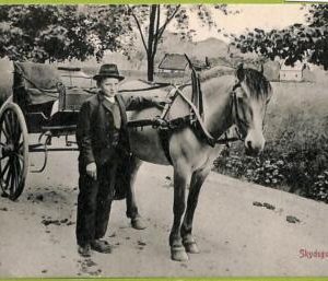 ad1917 - NORWAY - VINTAGE POSTCARD - Skydsgut Horse Cart