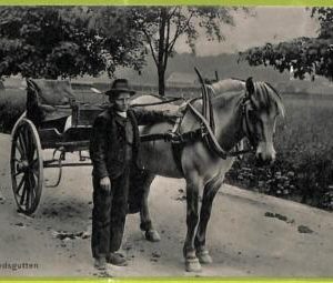 ad1922 - NORWAY - VINTAGE POSTCARD - Skydsgutten